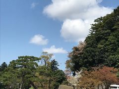 -金泽21世纪美术馆