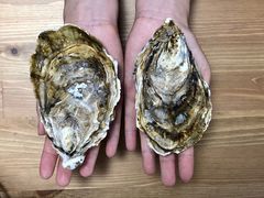 -众彩物流水产市场