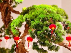 -喜湘宴·精致湖南菜(和平西桥店)