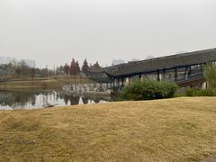 -眉山湿地公园(东坡区)
