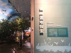 -中国湿地博物馆