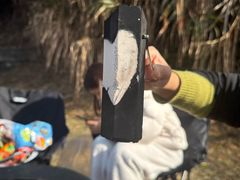 -长沙黑麋峰国家森林公园