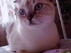 -瑞派天宁宠物医院·猫科·异宠中心