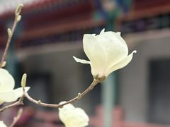 -莲池书院博物馆