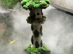 -觀芷隐轩