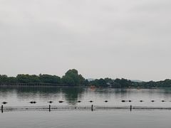 -西湖游船