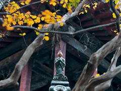 -报恩寺(平武县)