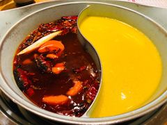 -青瓷火锅料理(西单大悦城店)