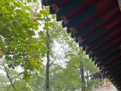 -《12·12》西安事变大型实景演出
