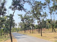 -东海森林温泉度假酒店