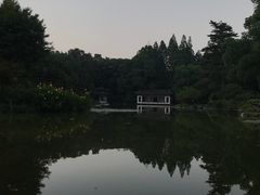 -山外山菜馆(玉泉路店)