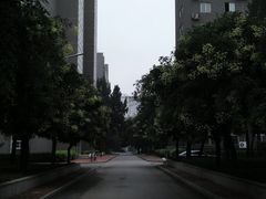 -中央民族大学
