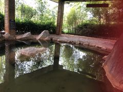 -大理地热国