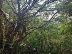 -清远恒大酒店·寻味清远