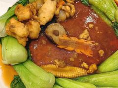 -大连金石滩绿发温泉假日酒店