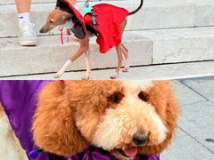 -华谊兄弟（长沙）电影小镇