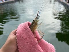 -DGE季风钓虾营地·团建·聚会