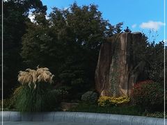 -昆山城市生态森林公园