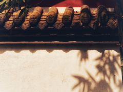 -望江楼公园