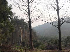 -马尔贝拉度假城