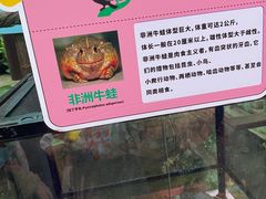 -正佳雨林生态植物园