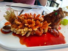 -松鹤楼·非遗·苏帮菜(融科店)