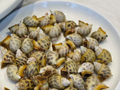白灼小花螺-欢乐海岸美食联盟