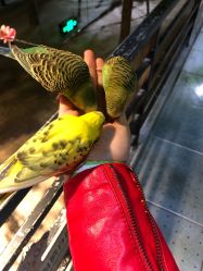 -酷嗒动物文化乐园(cutezoo西溪乐天城店)