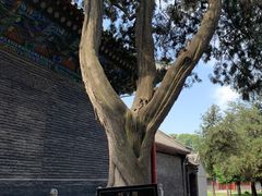 -关林