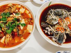 -煲来饱去冷水鱼