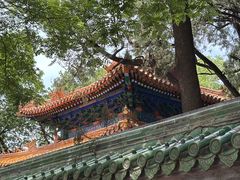 -北京国子监胡同