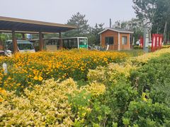 -东郊湿地公园