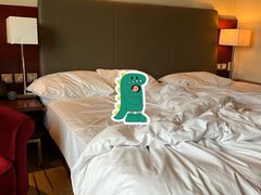 -香港尖沙咀凯悦酒店