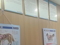 -米苏动物医院·犬猫专科·骨科外科内窥镜