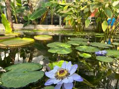 -国家植物园南园