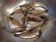 -光头佬钓虾场·烧烤·聚餐·亲子(金沙洲店)