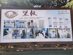 -迎泽公园
