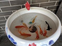 -董家湾重庆老火锅(嘉华店)