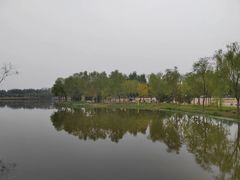 -东郊湿地公园