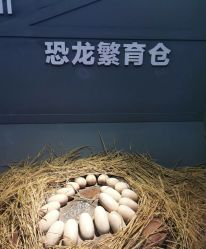 -恐龙探索乐园(磁器口店)