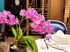 -Yan Ting 宴庭中餐厅(上海静安瑞吉酒店)