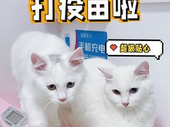 -咕噜咕噜宠物医院·CT·肿瘤科·骨科(前海院)