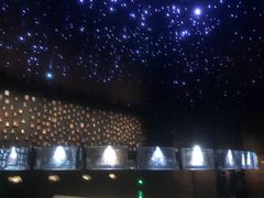 -侵华日军南京大屠杀遇难同胞纪念馆-停车场