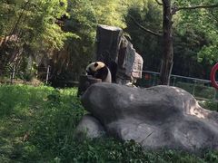 -宁波野生动物园