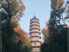 -灵谷景区