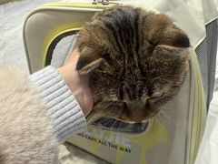 -瑞派福兴宠物医院犬猫全科·骨科·中西医结合(河东店)