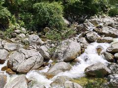 -青峰峡国家森林公园