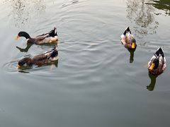 -菜根香土菜馆(文昌东路店)