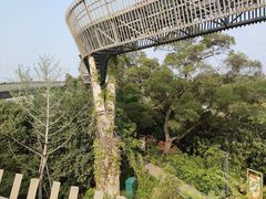 -福道