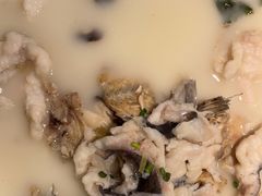 -洞庭家宴·头牌甲鱼(广渠门店)